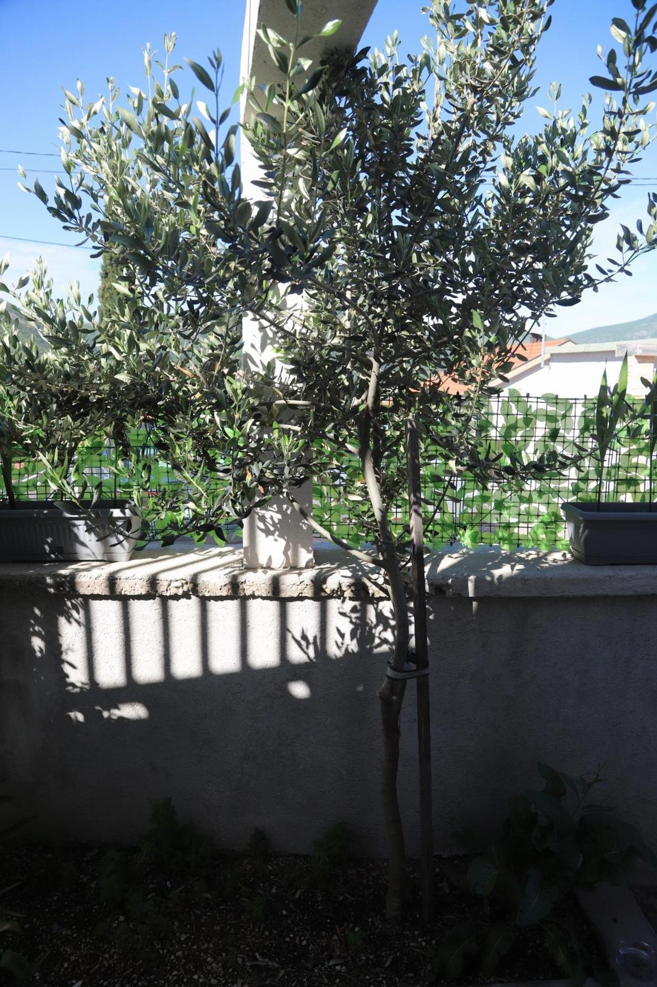 Apartman Hadze Mostar Kültér fotó